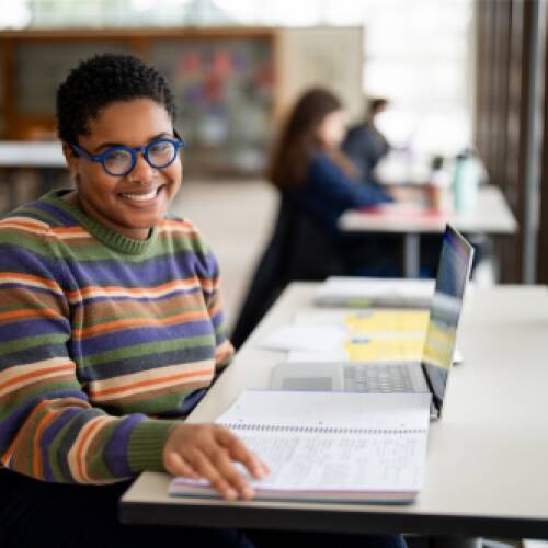 Undergraduate researchers find mentorship through independent projects